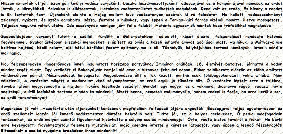 Hiszen ismerték őt jól. Szentgáli királyi vadász sarjaként, büszke leszármazottjaként  édesapjával és a kompániájával nemcsak az erdőt járták, a környékbeli  falvakba is ellátogattak. Hatalmas vadászterületet tudhattak magukénak. Rend volt az erdőn. És bizony a rendet is ők tartották fent. Újoncként eleinte a Hajag mellett levő vadásztanyán szabtak ki rá feladatot. Ha kellett, vadászzsákmányt zsigerelt, nyúzott, és aztán darabolta, sózta, füstölte a húsokat, vagy éppen a Farkas-kúti forrás vizénél mosott, illetve mosogatott… Teljesen magukra voltak utalva. Ide asszonynép nemigen járt fel a faluból. Hetente egyszer ők mentek haza trófeáikkal megrakodva. Szabadidejében versenyt futott a széllel, fürdött a Gella-patakban, célbalőtt, kését élezte, felszerelését rendezte katonás fegyelemmel. Gyakorlásképpen éjszakai menedéket is épített az óriás a közeli juharfa árnyat adó ágai alatt. Hajlékuk, a Mátyás-pince boltives hajtású, kőből rakott, elől hátul bőrökkel fedett építmény ma is áll. Tűzhelyük, kályhájukhoz tartozó kéményük  látszik mind a mai napig. No, felcseperedvén, megerősödve innen indulhatott hosszabb portyákra. Immáron önállóan, 18. életévét betöltve, járhatta a vadon minden zegét-zugát. Így vetődött el Bakonyújvár romjai alá azon a bizonyos februári napon. Ekkor találkozott először az előbb említett vándorsólyom párral. Nászrepülésük lenyűgözte. Megbabonázva állt a fák között, mintha csak földbegyökerezett volna a lába. Nem véletlenül. A varázslat mögött a madarakat védő sólyompásztor, az erdő egyik jó tündére állt. Ő vezérelte lépteit erre a tájékra. Jövőbe látóan megjövendölte a majdani fiókára leselkedő veszélyt. Gondolt egy nagyot és a vakmerő, dicsnévre vágyó  vadászt hívta segítségül, akitől leginkább tartana minden és mindenki. Bízott benne, nemcsak zsákmányolja, hanem védeni is fogja, ha arra kerül a sor, az erdő teremtményeit. Megérzése jó volt. Hazatérte után ifjoncunkat kérésének megfelelően felfedező útjára engedték. Édesapjával teljes egyetértésben az erdő szellemeit igazán jól ismerő vadászmester döntése helytálló volt! Tudta jól, ez a helyes cselekedet. Ő pedig megfogadván tanácsaikat, az erdő mélyén ezentúl figyelemmel kisérhette a sólyom család mindennapjai. Óvta, védte biztos távolról a fiókát. Ha bárki erre keveredett, figyelmeztetőül felemelte mutatóujját, majd csendre intette a kéretlen látogatót, vagy éppen a leendő fészekrablót! Eltessékelt a család nyugalma érdekében innen mindenkit!