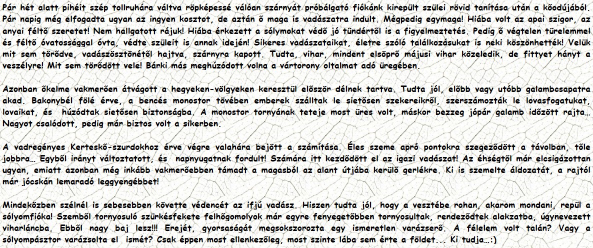 Pár hét alatt pihéit szép tollruhára váltva röpképessé válóan szárnyát próbálgató fiókánk kirepült szülei rövid tanítása után a kőodújából. Pár napig még elfogadta ugyan az ingyen kosztot, de aztán ő maga is vadászatra indult. Mégpedig egymaga! Hiába volt az apai szigor, az anyai féltő szeretet! Nem hallgatott rájuk! Hiába érkezett a sólymokat védő jó tündértől is a figyelmeztetés. Pedig ő végtelen türelemmel és féltő óvatossággal óvta, védte szüleit is annak idején! Sikeres vadászataikat, életre szóló találkozásukat is neki köszönhették! Velük mit sem törődve, vadászösztönétől hajtva, szárnyra kapott. Tudta, vihar, mindent elsöprő májusi vihar közeledik, de fittyet hányt a veszélyre! Mit sem törődött vele! Bárki más meghúzódott volna a vártorony oltalmat adó üregében. Azonban őkelme vakmerően átvágott a hegyeken-völgyeken keresztül először délnek tartva. Tudta jól, előbb vagy utóbb galambcsapatra akad. Bakonybél fölé érve, a bencés monostor tövében emberek szálltak le sietősen szekereikről, szerszámozták le lovasfogatukat, lovaikat, és  húzódtak sietősen biztonságba. A monostor tornyának teteje most üres volt, máskor bezzeg jópár galamb időzött rajta… Nagyot csalódott, pedig már biztos volt a sikerben. A vadregényes Kerteskő-szurdokhoz érve végre valahára bejött a számítása. Éles szeme apró pontokra szegeződött a távolban, tőle jobbra… Egyből irányt változtatott, és  napnyugatnak fordult! Számára itt kezdődött el az igazi vadászat! Az éhségtől már elcsigázottan ugyan, emiatt azonban még inkább vakmerőebben támadt a magasból az alant útjába kerülő gerlékre. Ki is szemelte áldozatát, a rajtól már jócskán lemaradó leggyengébbet! Mindeközben szélnél is sebesebben követte védencét az ifjú vadász. Hiszen tudta jól, hogy a vesztébe rohan, akarom mondani, repül a sólyomfióka! Szemből tornyosuló szürkésfekete felhőgomolyok már egyre fenyegetőbben tornyosultak, rendeződtek alakzatba, úgynevezett viharláncba. Ebből nagy baj lesz!!! Erejét, gyorsaságát megsokszorozta egy ismeretlen varázserő. A félelem volt talán? Vagy a sólyompásztor varázsolta el  ismét? Csak éppen most ellenkezőleg, most szinte lába sem érte a földet... Ki tudja…:)