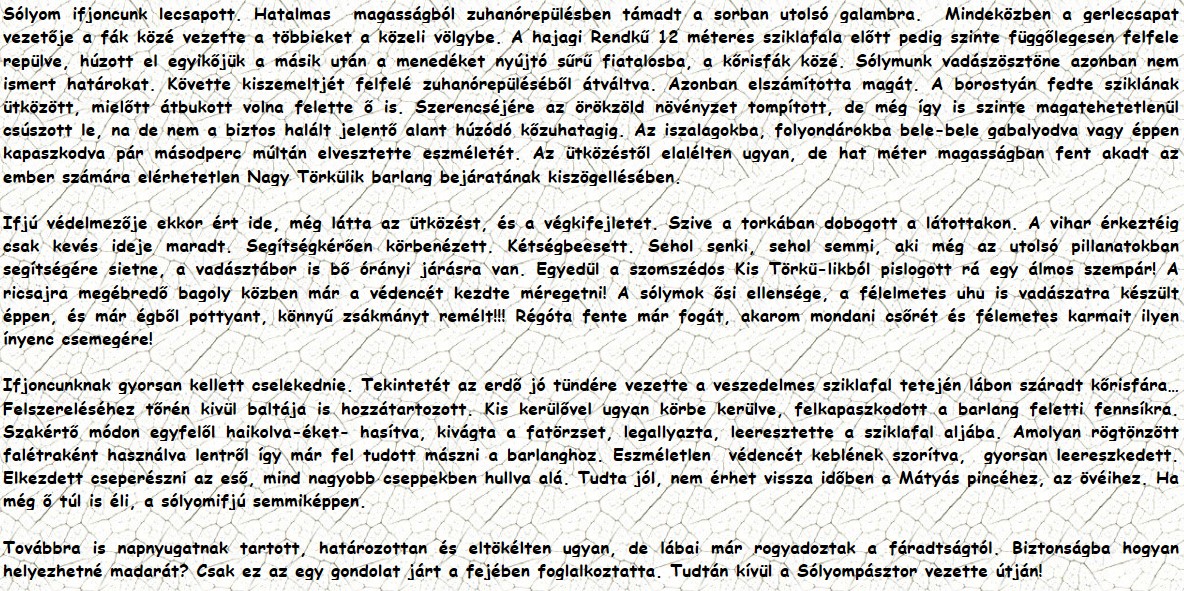 Sólyom ifjoncunk lecsapott. Hatalmas  magasságból zuhanórepülésben támadt a sorban utolsó galambra.  Mindeközben a gerlecsapat vezetője a fák közé vezette a többieket a közeli völgybe. A hajagi Rendkű 12 méteres sziklafala előtt pedig szinte függőlegesen felfele repülve, húzott el egyikőjük a másik után a menedéket nyújtó sűrű fiatalosba, a kőrisfák közé. Sólymunk vadászösztöne azonban nem ismert határokat. Követte kiszemeltjét felfelé zuhanórepüléséből átváltva. Azonban elszámította magát. A borostyán fedte sziklának ütközött, mielőtt átbukott volna felette ő is. Szerencséjére az örökzöld növényzet tompított, de még így is szinte magatehetetlenül csúszott le, na de nem a biztos halált jelentő alant húzódó kőzuhatagig. Az iszalagokba, folyondárokba bele-bele gabalyodva vagy éppen kapaszkodva pár másodperc múltán elvesztette eszméletét. Az ütközéstől elalélten ugyan, de hat méter magasságban fent akadt az ember számára elérhetetlen Nagy Törkülik barlang bejáratának kiszögellésében. Ifjú védelmezője ekkor ért ide, még látta az ütközést, és a végkifejletet. Szive a torkában dobogott a látottakon. A vihar érkeztéig csak kevés ideje maradt. Segítségkérően körbenézett. Kétségbeesett. Sehol senki, sehol semmi, aki még az utolsó pillanatokban segítségére sietne, a vadásztábor is bő órányi járásra van. Egyedül a szomszédos Kis Törkü-likból pislogott rá egy álmos szempár! A ricsajra megébredő bagoly közben már a védencét kezdte méregetni! A sólymok ősi ellensége, a félelmetes uhu is vadászatra készült éppen, és már égből pottyant, könnyű zsákmányt remélt!!! Régóta fente már fogát, akarom mondani csőrét és félemetes karmait ilyen ínyenc csemegére! Ifjoncunknak gyorsan kellett cselekednie. Tekintetét az erdő jó tündére vezette a veszedelmes sziklafal tetején lábon száradt kőrisfára… Felszereléséhez tőrén kivül baltája is hozzátartozott. Kis kerülővel ugyan körbe kerülve, felkapaszkodott a barlang feletti fennsíkra. Szakértő módon egyfelől haikolva-éket- hasítva, kivágta a fatörzset, legallyazta, leeresztette a sziklafal aljába. Amolyan rögtönzött falétraként használva lentről így már fel tudott mászni a barlanghoz. Eszméletlen  védencét keblének szorítva,  gyorsan leereszkedett. Elkezdett cseperészni az eső, mind nagyobb cseppekben hullva alá. Tudta jól, nem érhet vissza időben a Mátyás pincéhez, az övéihez. Ha még ő túl is éli, a sólyomifjú semmiképpen. Továbbra is napnyugatnak tartott, határozottan és eltökélten ugyan, de lábai már rogyadoztak a fáradtságtól. Biztonságba hogyan helyezhetné madarát? Csak ez az egy gondolat járt a fejében foglalkoztatta. Tudtán kívül a Sólyompásztor vezette útján!