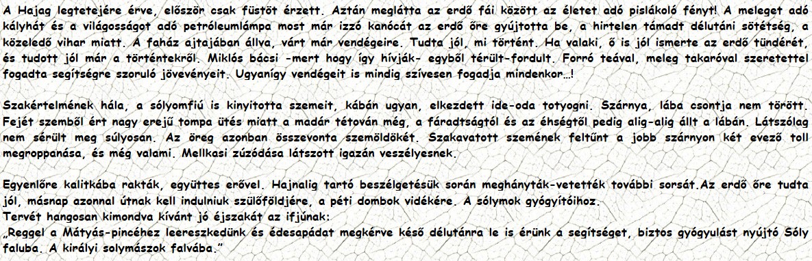 A Hajag legtetejére érve, először csak füstöt érzett. Aztán meglátta az erdő fái között az életet adó pislákoló fényt! A meleget adó kályhát és a világosságot adó petróleumlámpa most már izzó kanócát az erdő őre gyújtotta be, a hirtelen támadt délutáni sötétség, a közeledő vihar miatt. A faház ajtajában állva, várt már vendégeire. Tudta jól, mi történt. Ha valaki, ő is jól ismerte az erdő tündérét, és tudott jól már a történtekről. Miklós bácsi -mert hogy így hívják- egyből térült-fordult. Forró teával, meleg takaróval szeretettel fogadta segítségre szoruló jövevényeit. Ugyanígy vendégeit is mindig szívesen fogadja mindenkor…! Szakértelmének hála, a sólyomfiú is kinyitotta szemeit, kábán ugyan, elkezdett ide-oda totyogni. Szárnya, lába csontja nem törött. Fejét szemből ért nagy erejű tompa ütés miatt a madár tétován még, a fáradtságtól és az éhségtől pedig alig-alig állt a lábán. Látszólag nem sérült meg súlyosan. Az öreg azonban összevonta szemöldökét. Szakavatott szemének feltűnt a jobb szárnyon két evező toll megroppanása, és még valami. Mellkasi zúzódása látszott igazán veszélyesnek. Egyenlőre kalitkába rakták, együttes erővel. Hajnalig tartó beszélgetésük során meghányták-vetették további sorsát.Az erdő őre tudta jól, másnap azonnal útnak kell indulniuk szülőföldjére, a péti dombok vidékére. A sólymok gyógyítóihoz. Tervét hangosan kimondva kívánt jó éjszakát az ifjúnak: „Reggel a Mátyás-pincéhez leereszkedünk és édesapádat megkérve késő délutánra le is érünk a segítséget, biztos gyógyulást nyújtó Sóly faluba. A királyi solymászok falvába.”
