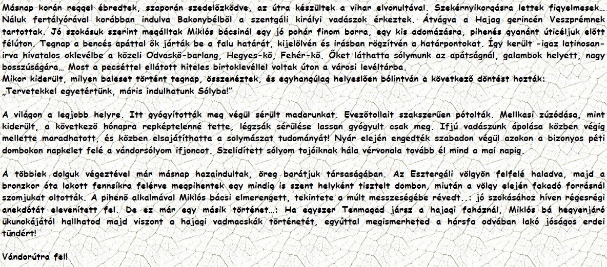 Másnap korán reggel ébredtek, szaporán szedelőzködve, az útra készültek a vihar elvonultával. Szekérnyikorgásra lettek figyelmesek… Náluk fertályórával korábban indulva Bakonybélből a szentgáli királyi vadászok érkeztek. Átvágva a Hajag gerincén Veszprémnek tartottak. Jó szokásuk szerint megálltak Miklós bácsinál egy jó pohár finom borra, egy kis adomázásra, pihenés gyanánt úticéljuk előtt félúton. Tegnap a bencés apáttal ők járták be a falu határát, kijelölvén és irásban rögzítvén a határpontokat. Így került -igaz latinosan- irva hivatalos oklevélbe a közeli Odvaskő-barlang, Hegyes-kő, Fehér-kő. Őket láthatta sólymunk az apátságnál, galambok helyett, nagy bosszúságára… Most a pecséttel ellátott hiteles birtoklevéllel voltak úton a városi levéltárba. Mikor kiderült, milyen baleset történt tegnap, összenéztek, és egyhangúlag helyeslően bólintván a következő döntést hozták: „Tervetekkel egyetértünk, máris indulhatunk Sólyba!” A világon a legjobb helyre. Itt gyógyították meg végül sérült madarunkat. Evezőtollait szakszerűen pótolták. Mellkasi zúzódása, mint kiderült, a következő hónapra repképtelenné tette, légzsák sérülése lassan gyógyult csak meg. Ifjú vadászunk ápolása közben végig mellette maradhatott, és közben elsajátíthatta a solymászat tudományát! Nyár elején engedték szabadon végül azokon a bizonyos péti dombokon napkelet felé a vándorsólyom ifjoncot. Szelidített sólyom tojóiknak hála vérvonala tovább él mind a mai napig. A többiek dolguk végeztével már másnap hazaindultak, öreg barátjuk társaságában. Az Esztergáli völgyön felfelé haladva, majd a bronzkor óta lakott fennsíkra felérve megpihentek egy mindig is szent helyként tisztelt dombon, miután a völgy elején fakadó forrásnál szomjukat oltották. A pihenő alkalmával Miklós bácsi elmerengett, tekintete a múlt messzeségébe révedt..: jó szokásához híven régesrégi anekdótát elevenített fel. De ez már egy másik történet…: Ha egyszer Tenmagad jársz a hajagi faháznál, Miklós bá hegyenjáró ükunokájától hallhatod majd viszont a hajagi vadmacskák történetét, egyúttal megismerheted a hársfa odvában lakó jóságos erdei tündért! Vándorútra fel!